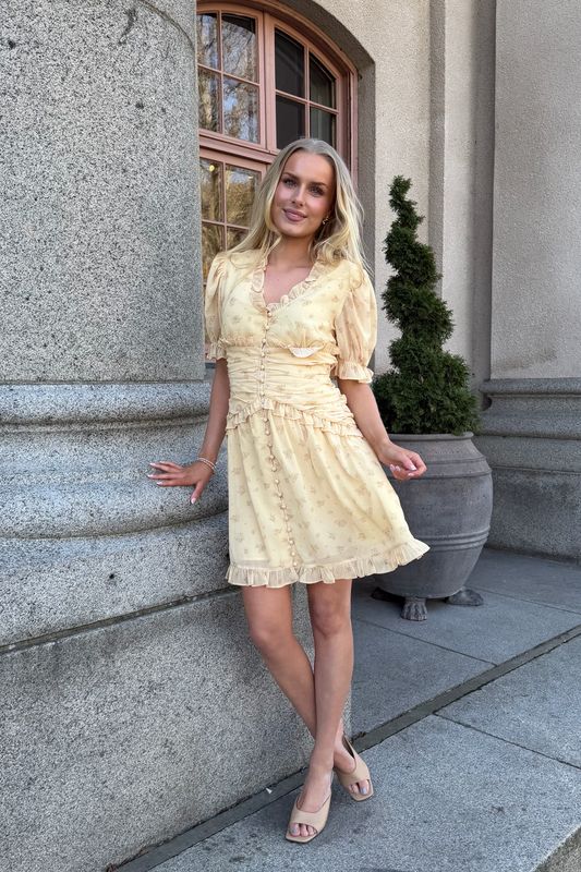 Ariel Dress