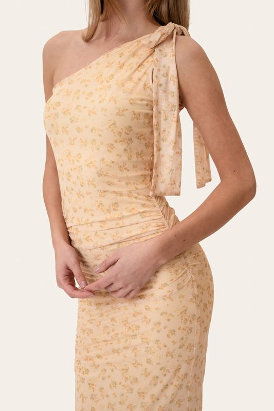 Nova Mesh Dress